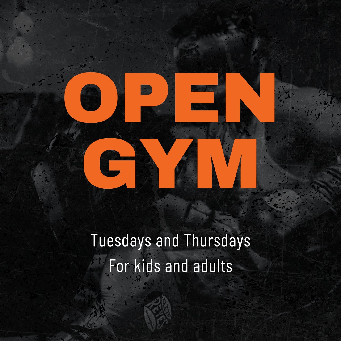 Open Gym Program